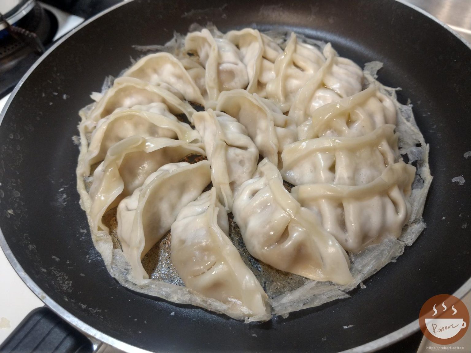 日式煎餃食譜步驟分享 : 10分鐘煎出超漂亮的黃金煎餃、冰花煎餃 - Robert Coffee