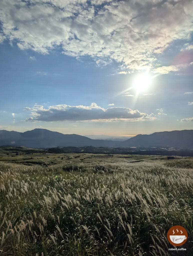 日本 熊本縣阿蘇市 草千里ヶ浜:芒草與夕陽